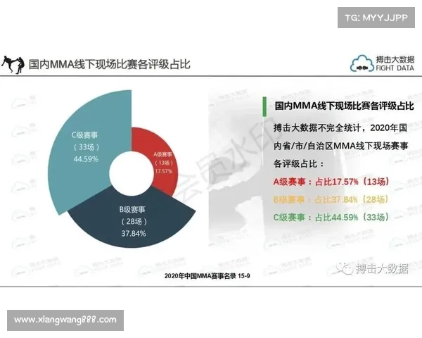 著名mma赛事名称;mma排名
